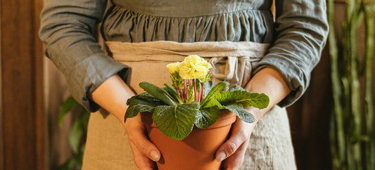 A New Season - We Are Pruning!