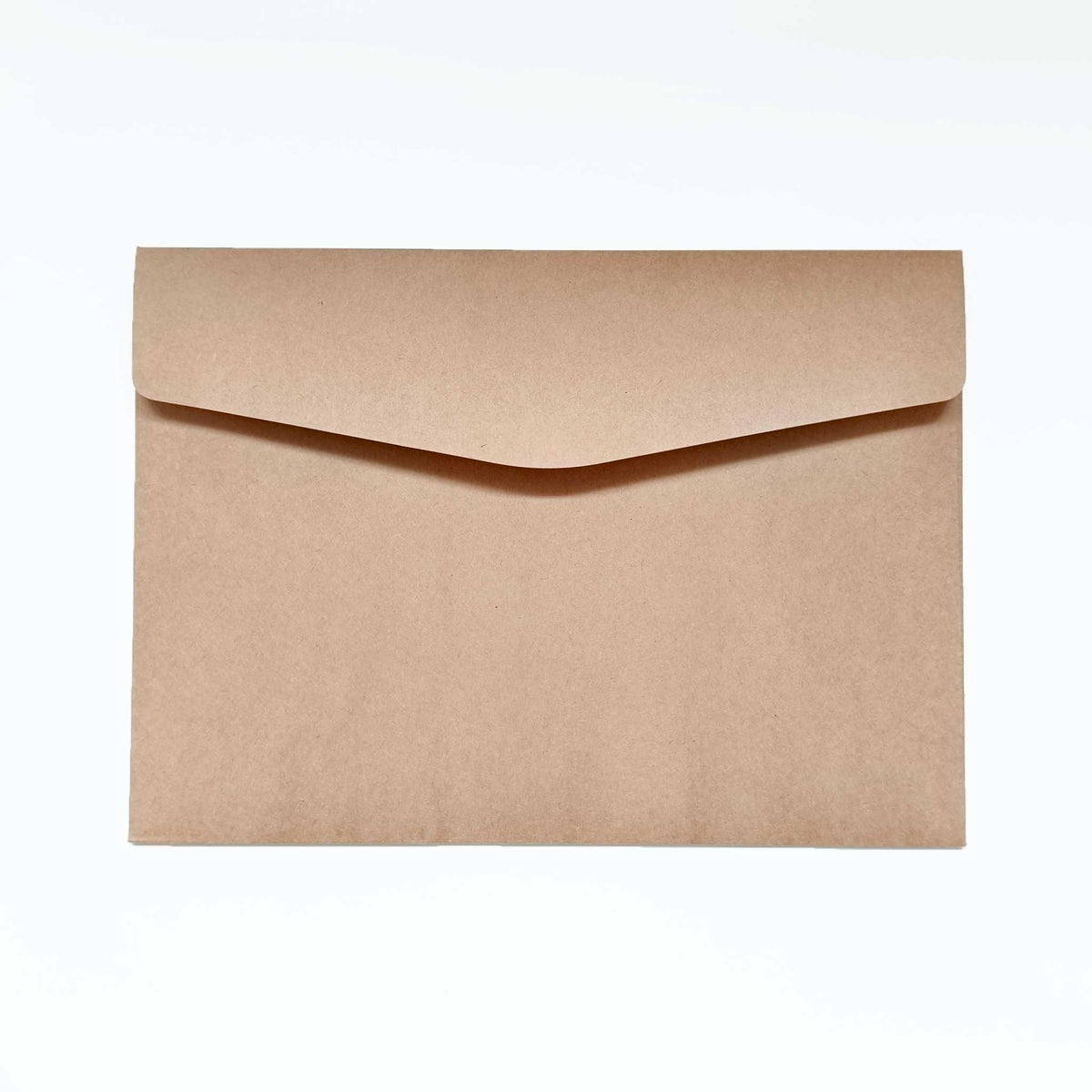 A plain brown kraft paper envelope with a closed flap, centered on a clean white background.