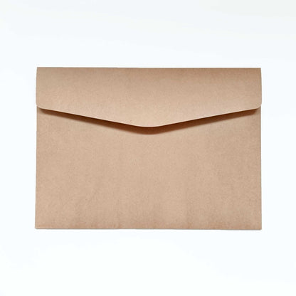 A plain brown kraft paper envelope with a closed flap, centered on a clean white background.