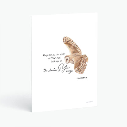 Postcards (English)