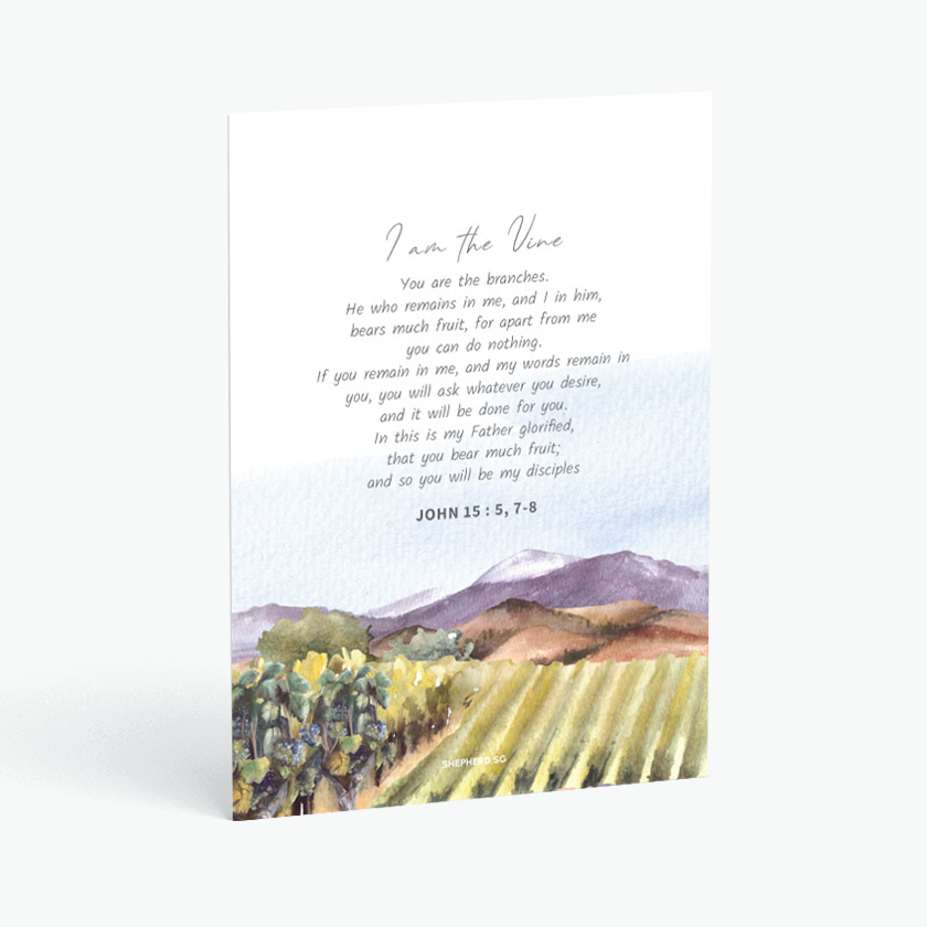 Postcards