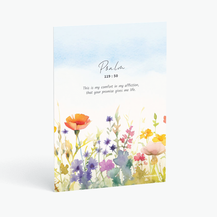 Postcards