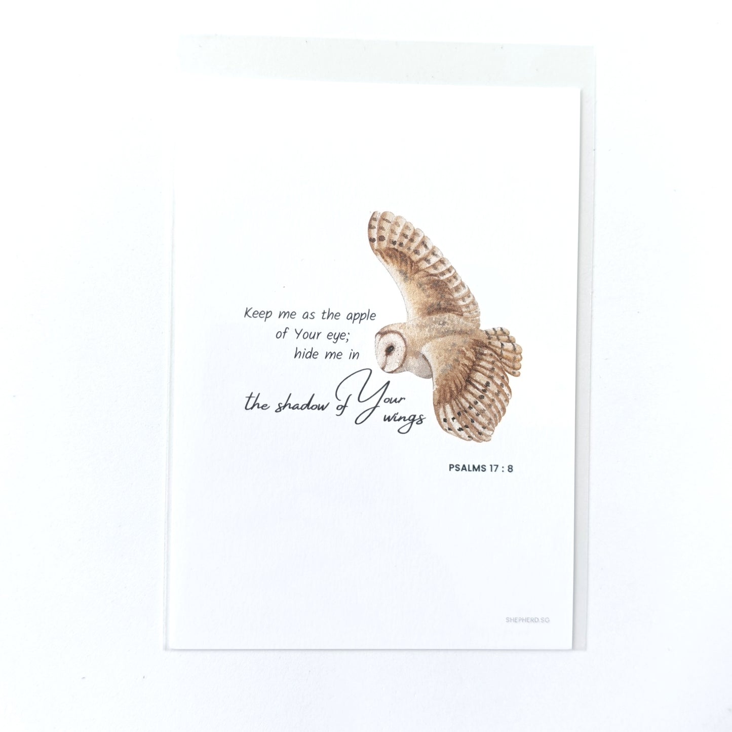 Postcards (OPP Plastic Sleeve)