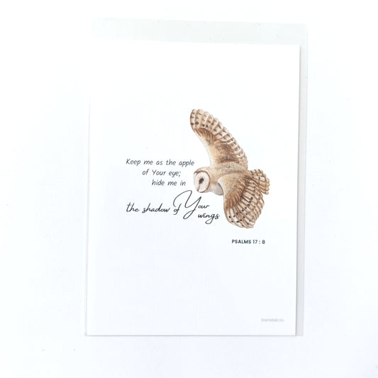 Postcards (OPP Plastic Sleeve)