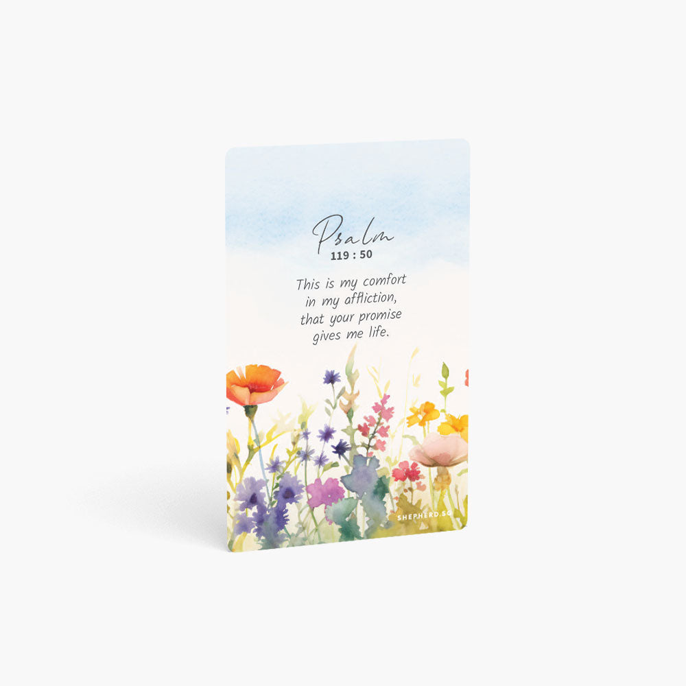 Stickers (Wallet Card Cover)